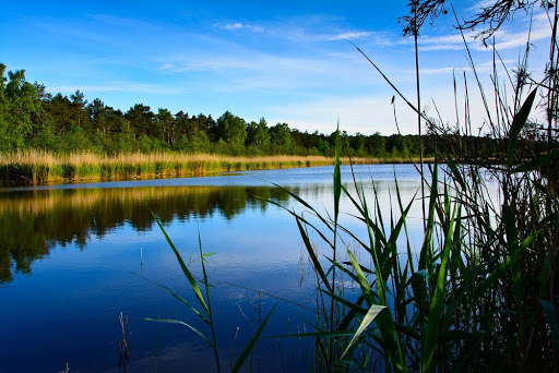 Mazury Noclegi Domki Warminsko - Mazurskie